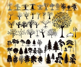 枯木树枝矢量合集