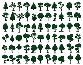 森林植物矢量合集