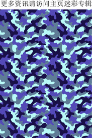 海军迷 空军迷彩 矢量迷彩
