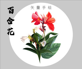 百合花矢量高清手绘艺术插画