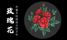 插画玫瑰月季酷黑高级矢量