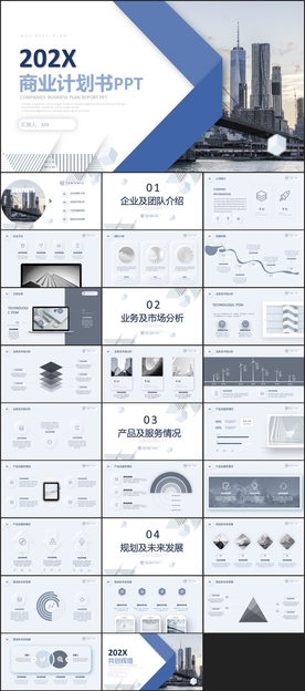 商业项目计划书