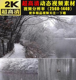 冬季雪景下雪山雪花冰雪融化视频