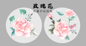 矢量玫瑰花月季花手绘精品插画