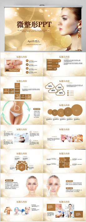 金色大气微整形工作总结PPT