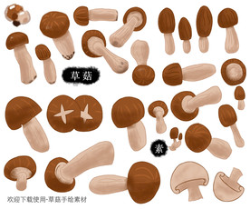 蘑菇手绘素材