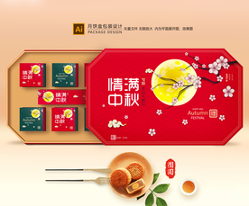 月饼包装 月饼礼盒