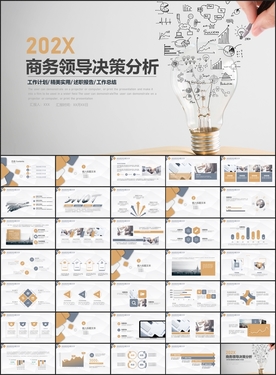 商务领导决策战略分析PPT
