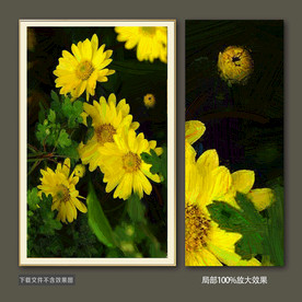 雏菊油画装饰画