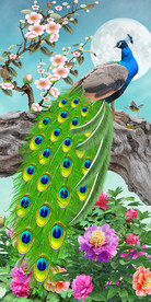 原创孔雀花鸟玄关过道背景墙画