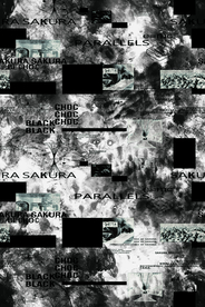 大牌 复古 数码印花 男装女装