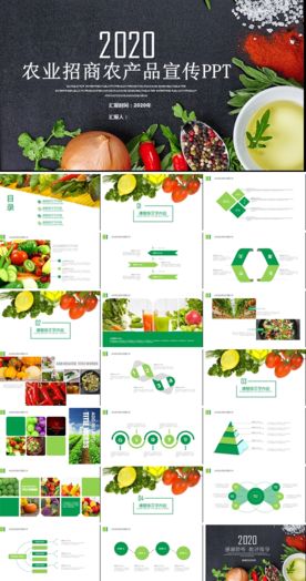农业招商农产品宣传PPT
