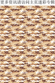 秋冬迷彩 男装迷彩印花