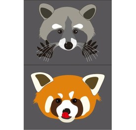 小熊猫和小浣熊