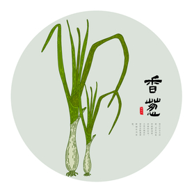 手绘葱