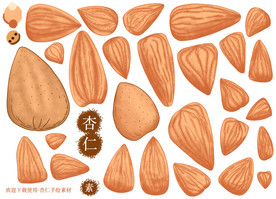 杏仁手绘素材