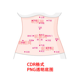 人体腹部穴位图高清图