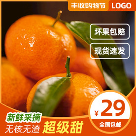 丰收购物节水果柑橘活动促销主图