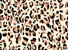 豹纹泥点