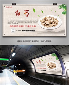 中药材白芍海报灯箱展板展架挂画