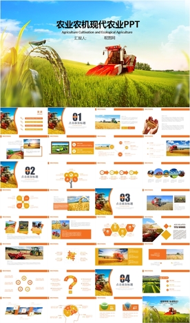 稻田秋天农民丰收节水稻PPT