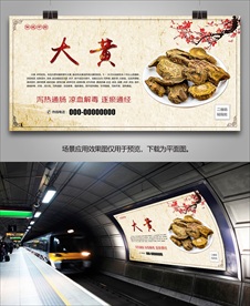 中草药大黄海报灯箱展板展架挂画