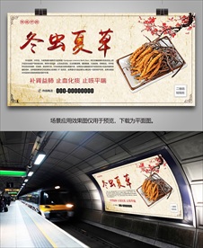 冬虫夏草海报灯箱展板展架挂画