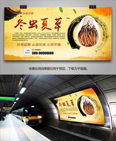 虫草海报灯箱展板展架挂画单页