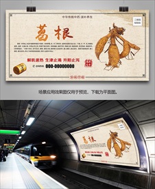 中药材葛根灯箱海报展板展架挂画