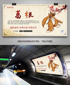 中药材葛根海报灯箱展板展架挂画