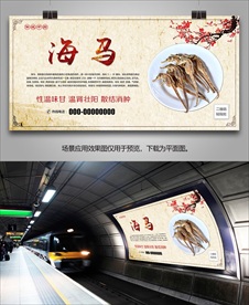 中药海马宣传海报灯箱展板展架