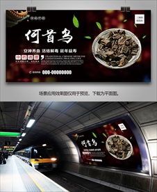 何首乌海报灯箱展板展架挂画单页