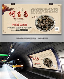 中药何首乌海报灯箱展板展架挂画