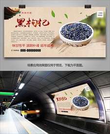 黑枸杞灯箱海报展板展架挂画单页