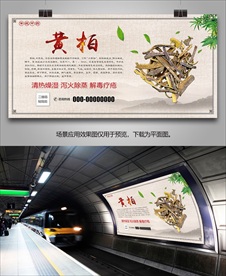 黄柏简介海报灯箱展板挂画单页