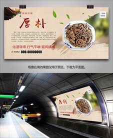 厚朴灯箱海报展板展架挂画单页