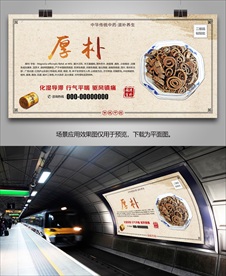 中草药厚朴灯箱海报展板挂画单页