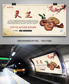 名贵中药灵芝海报灯箱展板展架