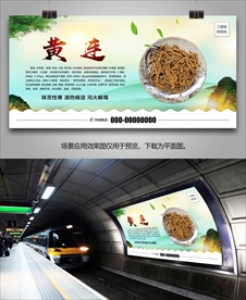 野生黄连海报灯箱展板展架挂画