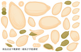 南瓜子手绘素材