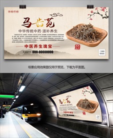 马齿苋批发海报灯箱展板展架挂画