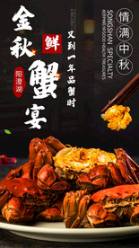 餐饮美食大闸蟹螃蟹海报