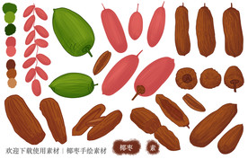 椰枣手绘素材