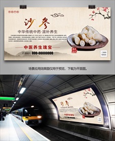 沙参简介海报灯箱展板展架挂画