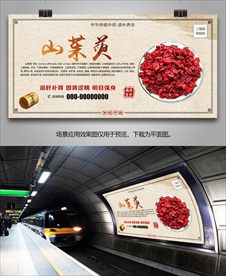 中药山茱萸海报灯箱展板挂画单页