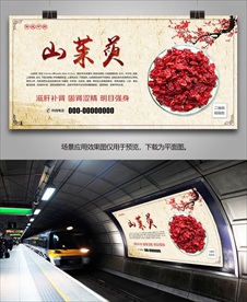 中草药山茱萸海报灯箱展板展架