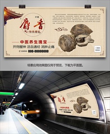 中药麝香简介海报灯箱展板展架