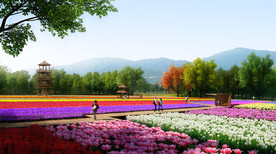 郁金香主题公园景观效果图