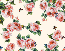 玫瑰花 大花 高清