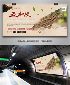 五加皮灯箱展板展架海报挂画单页